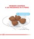 Royal Canin Mini Starter 3kg: Nutrición Ideal para Cachorros Pequeños