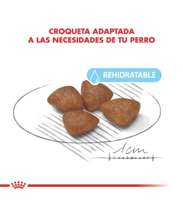 Royal Canin Mini Starter 3kg: Nutrición Ideal para Cachorros Pequeños