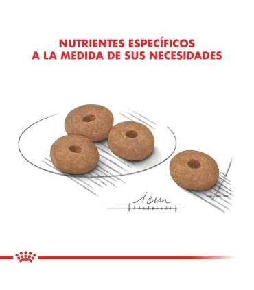 Royal Canin Mini Weight Care 3kg | Alimento Ligero para Perros Pequeños