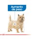 Royal Canin Mini Weight Care 3kg | Alimento Ligero para Perros Pequeños