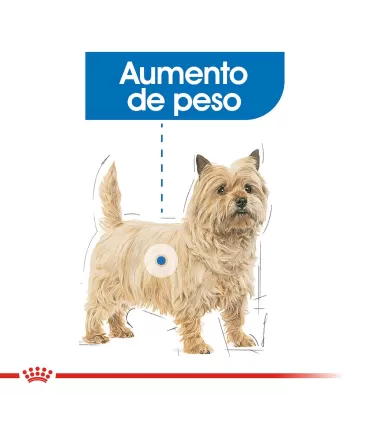 Royal Canin Mini Weight Care 3kg | Alimento Ligero para Perros Pequeños