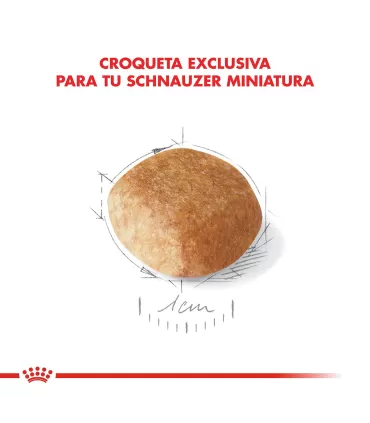 Royal Canin Schnauzer Mini | Alimento Premium para Perros Adultos