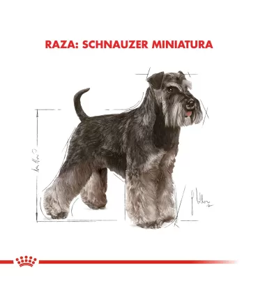 Royal Canin Schnauzer Mini | Alimento Premium para Perros Adultos