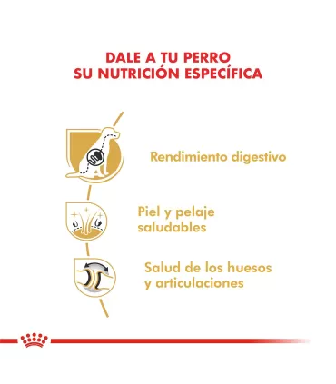 Royal Canin Ovejero Alemán 12kg | Alimento Premium para Perros Adultos