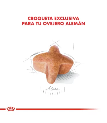 Royal Canin Ovejero Alemán 12kg | Alimento Premium para Perros Adultos