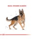 Royal Canin Ovejero Alemán 12kg | Alimento Premium para Perros Adultos