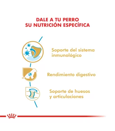 Royal Canin Ovejero Alemán Puppy 12kg | Nutrición Cachorro