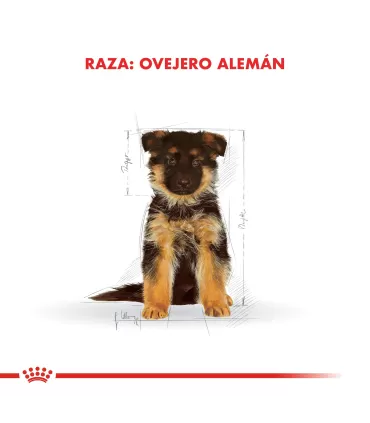 Royal Canin Ovejero Alemán Puppy 12kg | Nutrición Cachorro