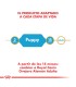 Royal Canin Ovejero Alemán Puppy 12kg | Nutrición Cachorro