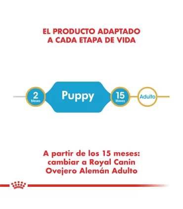 Royal Canin Ovejero Alemán Puppy 12kg | Nutrición Cachorro