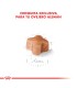 Royal Canin Ovejero Alemán Puppy 12kg | Nutrición Cachorro