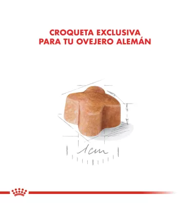 Royal Canin Ovejero Alemán Puppy 12kg | Nutrición Cachorro