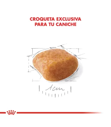 Royal Canin Caniche 7.5kg | Alimento Premium para Perros Caniches
