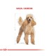 Royal Canin Caniche 7.5kg | Alimento Premium para Perros Caniches