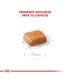 Royal Canin Caniche Puppy 3kg | Alimento Premium para Cachorros