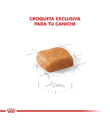Royal Canin Caniche Puppy 3kg | Alimento Premium para Cachorros