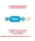 Royal Canin Caniche Puppy 3kg | Alimento Premium para Cachorros