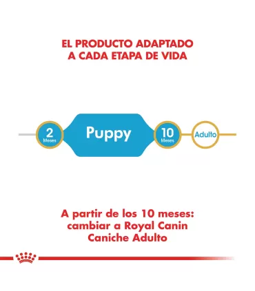 Royal Canin Caniche Puppy 3kg | Alimento Premium para Cachorros