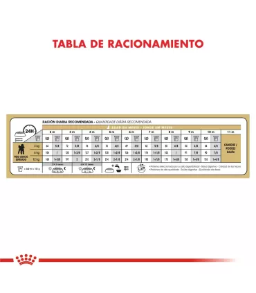 Royal Canin Caniche Puppy 3kg | Alimento Premium para Cachorros