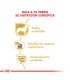 Royal Canin Yorkshire Terrier 3kg | Alimento Premium para Razas Pequeñas
