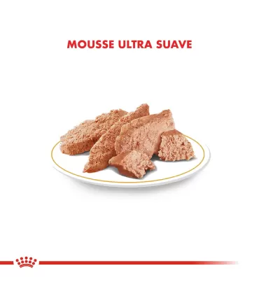 Royal Canin Yorkshire Terrier 3kg | Alimento Premium para Razas Pequeñas