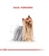 Royal Canin Yorkshire Terrier 3kg | Alimento Premium para Razas Pequeñas