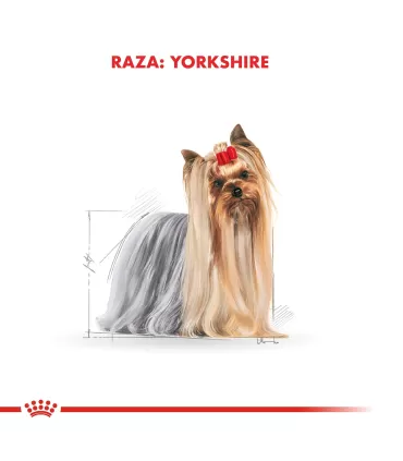Royal Canin Yorkshire Terrier 3kg | Alimento Premium para Razas Pequeñas