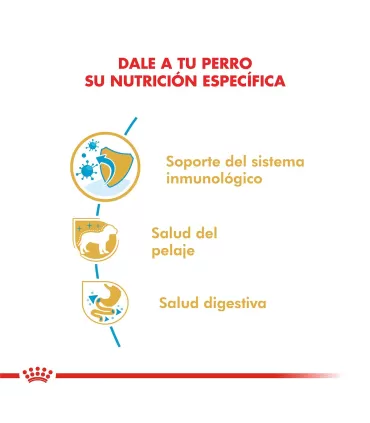 Royal Canin Yorkshire Terrier Puppy 3kg - Nutrición Especializada Cachorros