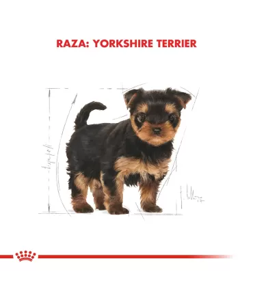 Royal Canin Yorkshire Terrier Puppy 3kg - Nutrición Especializada Cachorros