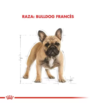 Alimento para perros Royal Canin Bulldog Frances 3kg