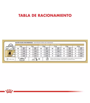 Royal Canin Bulldog Francés Adult: Nutrición Premium para tu Mascota