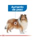 Royal Canin Maxi Weight Care 10kg | Alimento Control Peso Perros