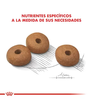 Royal Canin Medium Weight Care 10kg | Alimento Control Peso Perros