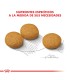 Royal Canin Medium Dermacomfort 10kg | Cuidado Dérmico Perros