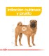 Royal Canin Medium Dermacomfort 10kg | Cuidado Dérmico Perros