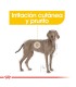 Royal Canin Maxi Dermacomfort 10kg | Cuidado Piel Perros Grandes