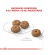 Royal Canin Mini Castrados 3kg | Alimento Equilibrado para Perros Pequeños