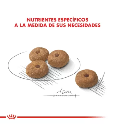 Royal Canin Mini Castrados 3kg | Alimento Equilibrado para Perros Pequeños