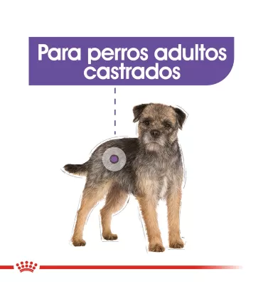 Royal Canin Mini Castrados 3kg | Alimento Equilibrado para Perros Pequeños