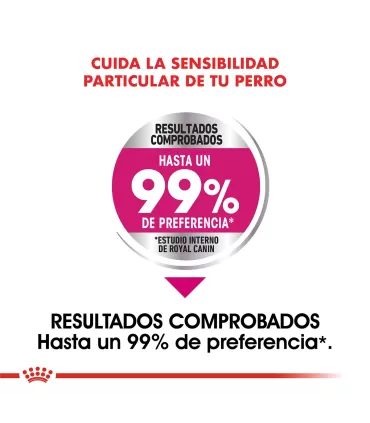 Royal Canin Mini Exigent 3kg | Alimento Premium para Perros Selectos