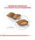 Royal Canin Mini Exigent 3kg | Alimento Premium para Perros Selectos