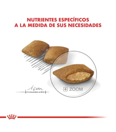 Royal Canin Mini Exigent 3kg | Alimento Premium para Perros Selectos
