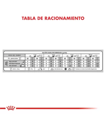 Royal Canin Mini Exigent 3kg | Alimento Premium para Perros Selectos