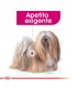 Royal Canin Mini Exigent 3kg | Alimento Premium para Perros Selectos