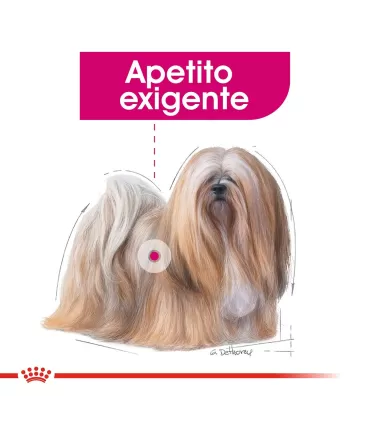 Royal Canin Mini Exigent 3kg | Alimento Premium para Perros Selectos