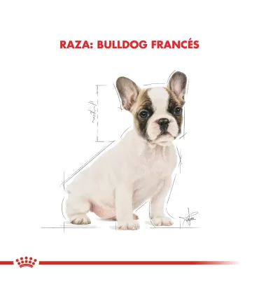 Royal Canin Bulldog Francés Cachorro | Nutrición Especializada 3kg