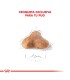 Royal Canin Pug Adulto 3kg | Nutrición Especializada para Carlinos