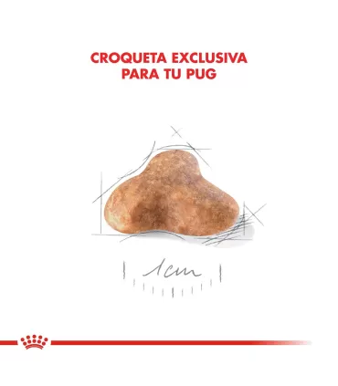 Royal Canin Pug Adulto 3kg | Nutrición Especializada para Carlinos