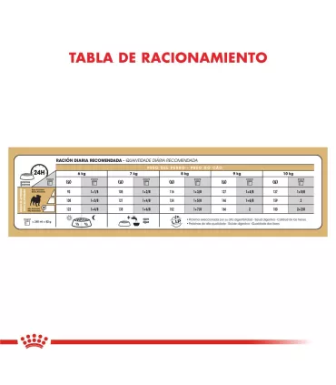 Royal Canin Pug Adulto 3kg | Nutrición Especializada para Carlinos