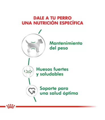 Royal Canin Mini Adulto: Alimento Premium para Perros Pequeños